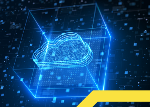 Judge, Jury & Executioner: Why the Identity Consolidation Game is Dangerous